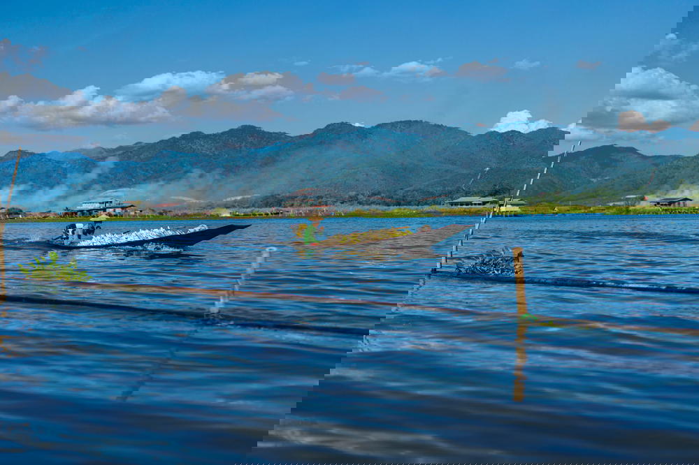 Burmese man driving a small motorized wooden boat along the waterways of Inle Lake Myanmar on a clear sunny day