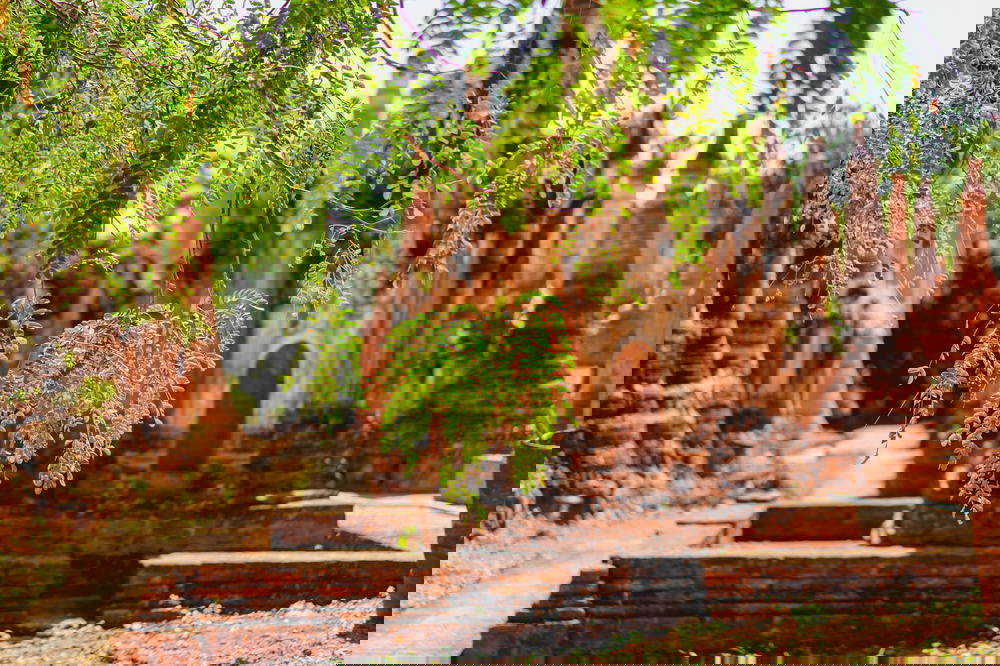 Green leaves in focus with ancient red stone pagodas and stupas at the Indein village in Myanmar