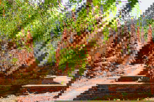 A group of pagodas in Inle Lake, Myanmar (Burma), situated along a dirt path.