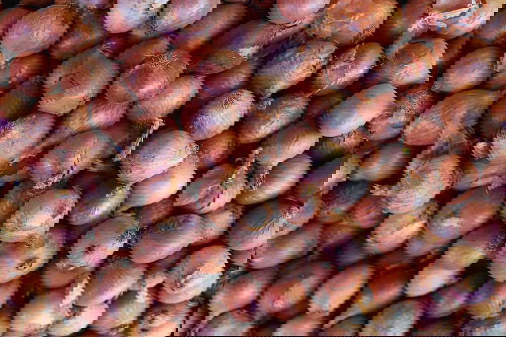 Shallots and onions for sale at a market stall in village market of Nyaungshwe near Inle Lake Myanmar