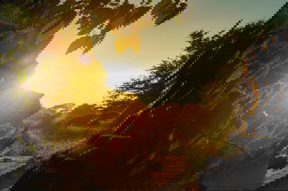 The sun hitting the edge of an ancient stone pagoda in a field of temples at Bagan Myanmar