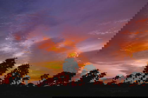 Pink sunset with outline of stupas pagodas in Bagan Myanmar Burma