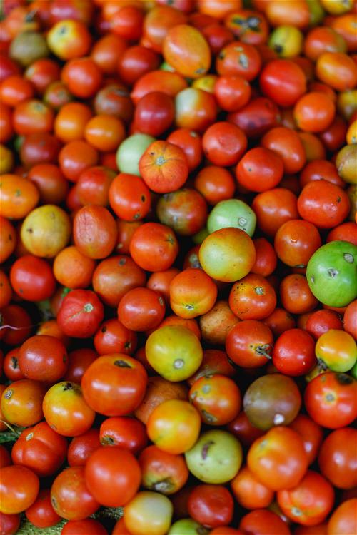 Fresh tomatoes at local city market in Inle Lake, Myanmar