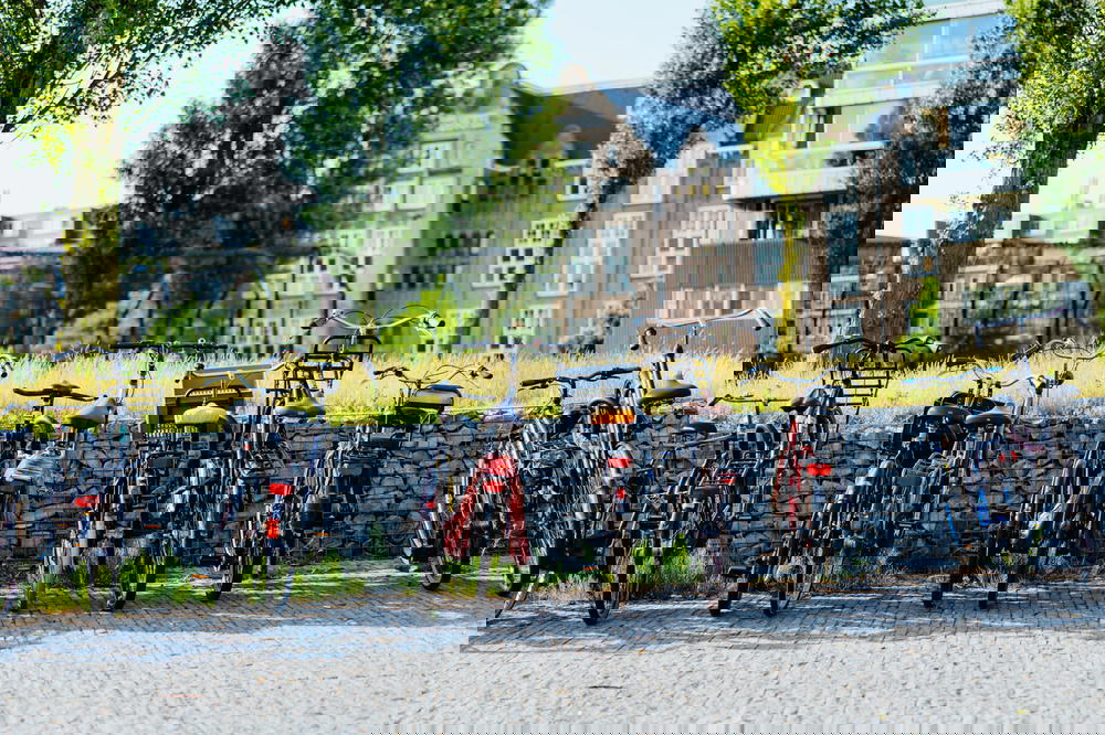 A row of bicycles parked in front of a brick wall in The Netherlands.