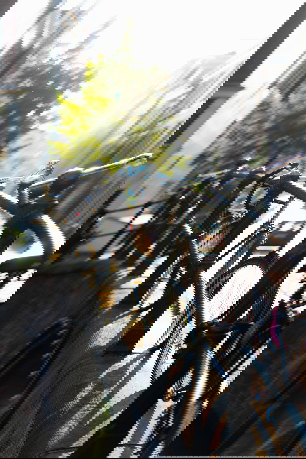 Bikes on the canal railing in Amsterdam