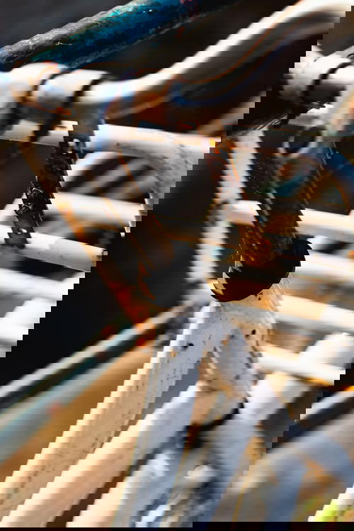 A rusty white bicycle in The Netherlands.