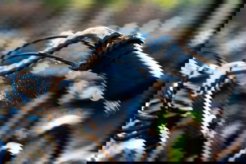 A close up of a bicycle handlebar in The Netherlands.