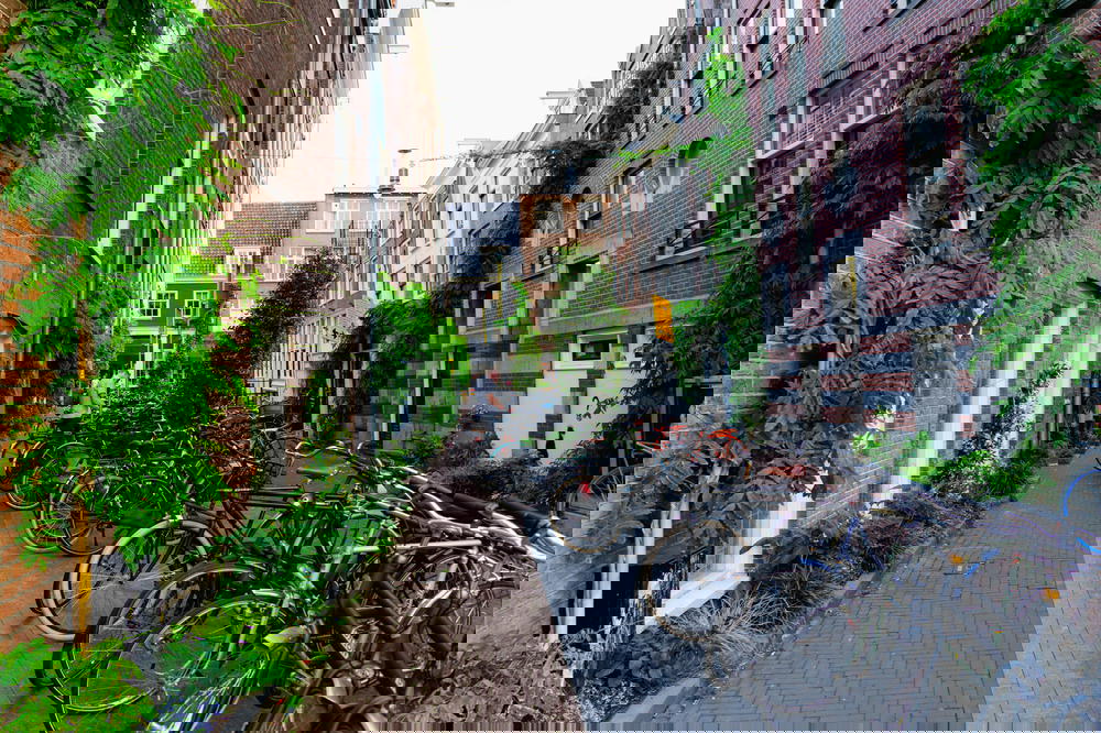 Bike storage in Amsterdam