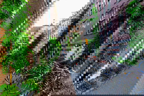 A row of bicycles parked on a sidewalk in The Netherlands.