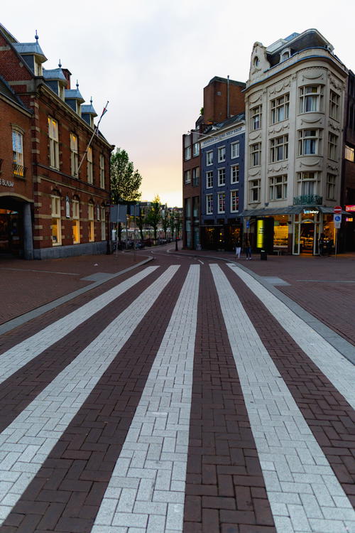 A zebra crossing in the middle of Amsterdam.