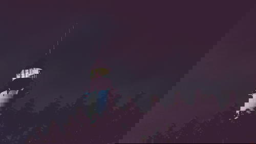 A tree in Peru with a lighthouse on top.