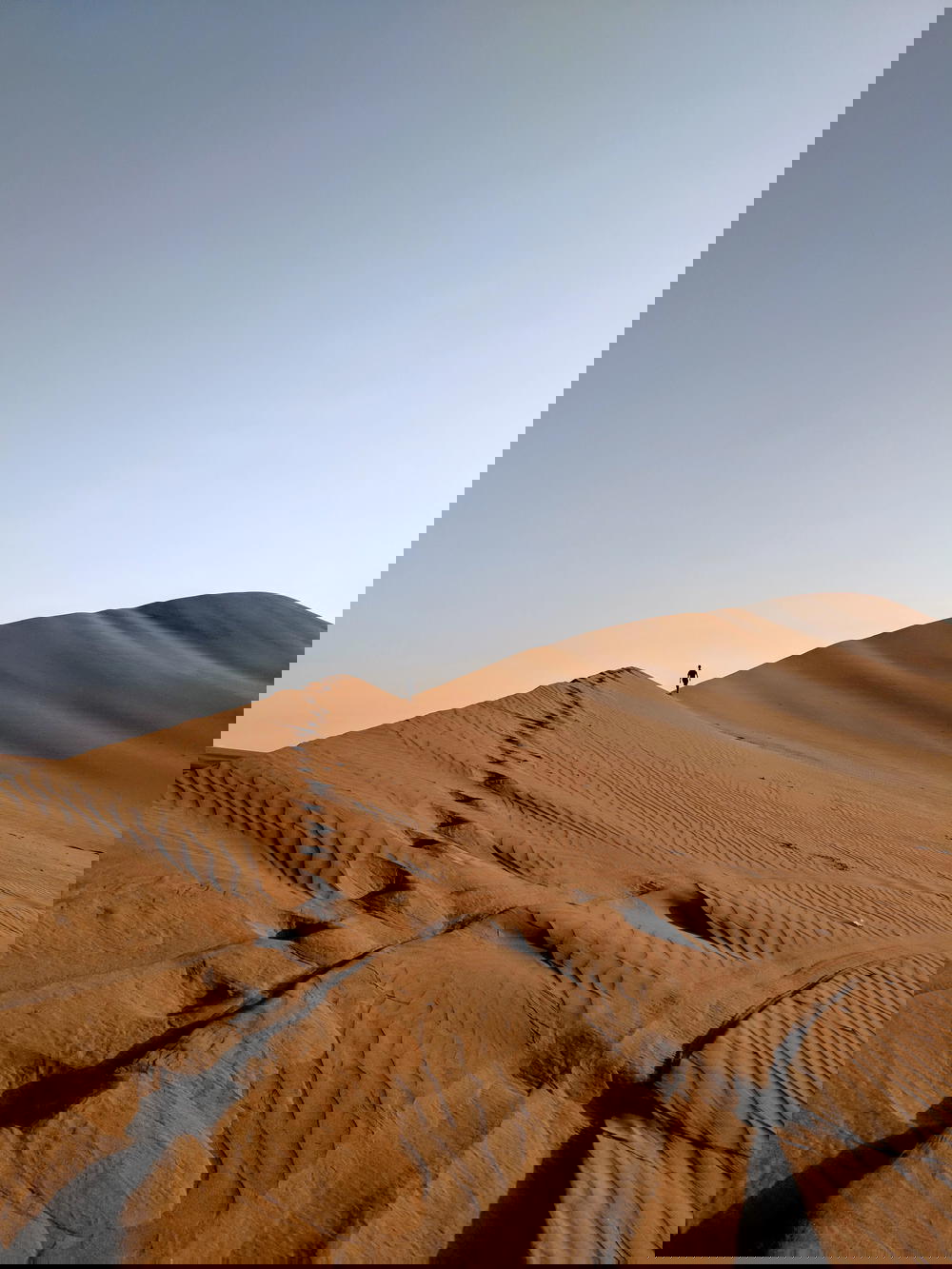 Single figure walking over the ridge of a huge golden sand dune
