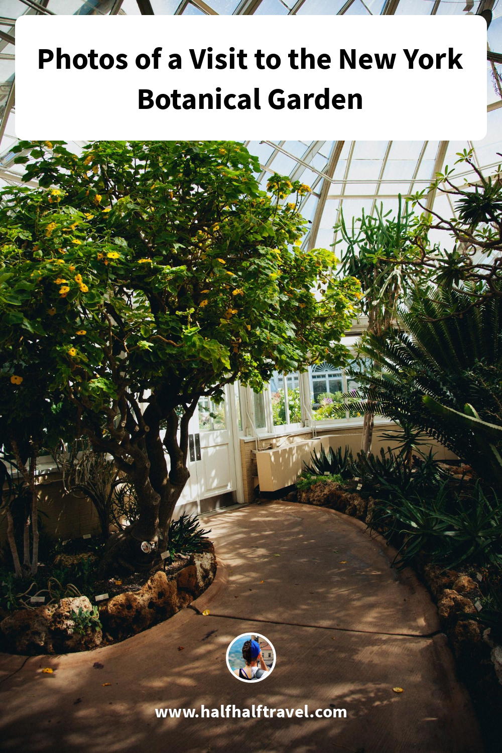 Pinterest image from the 'Photos of a Visit to the New York Botanical Garden' article on Half Half Travel