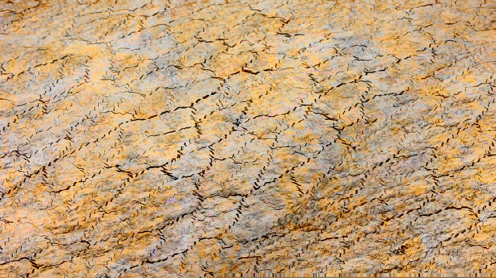 A close up image of a cracked surface in Portugal.