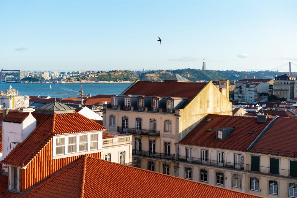 A bird is flying over the rooftops of Lisbon, Portugal.
