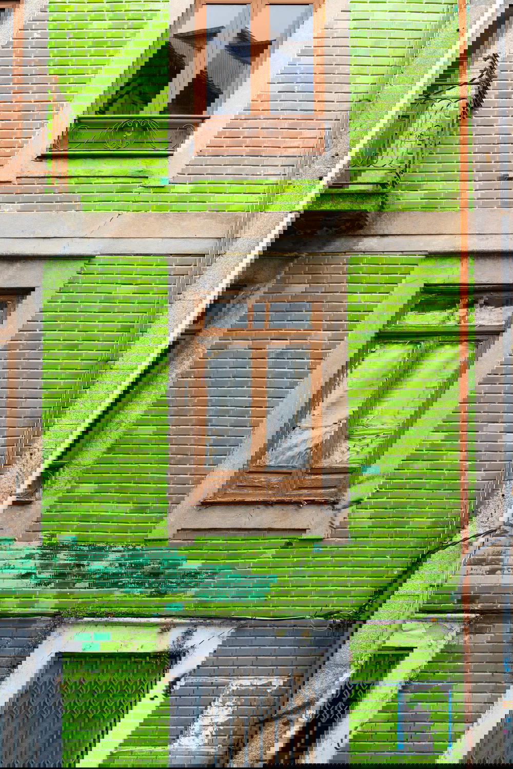 A green building in Porto with windows and balconies.
