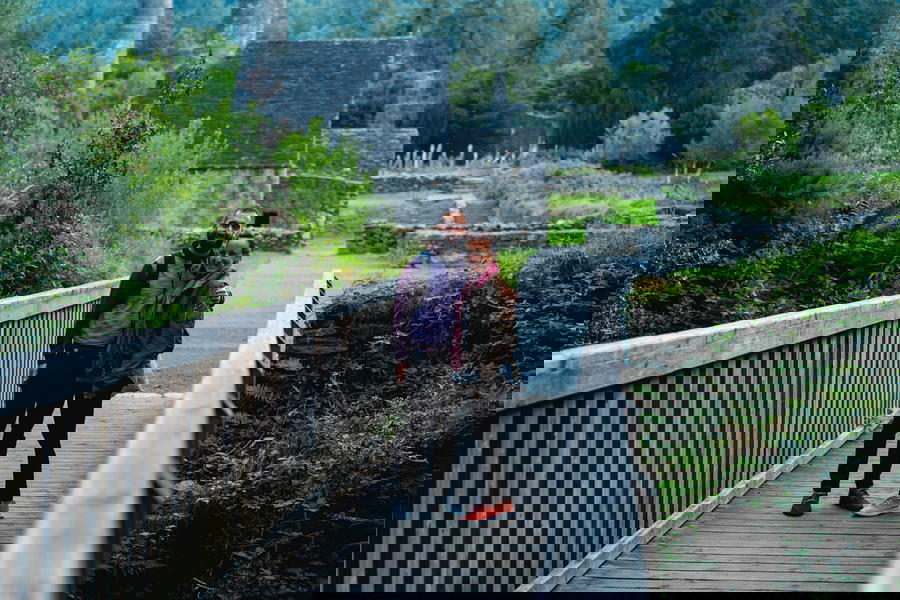 Allbirds Sustainable Shoe Review: What to Know before You Buy