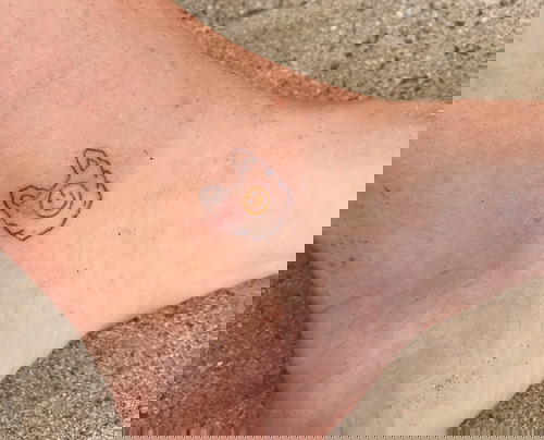 A small cat tattoo on the ankle of a woman.