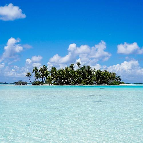 A small island with palm trees in the water.