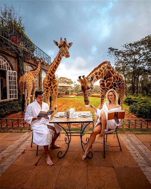 Two people sitting at a table with giraffes in the background.