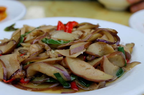 a close up of a plate of food on a table