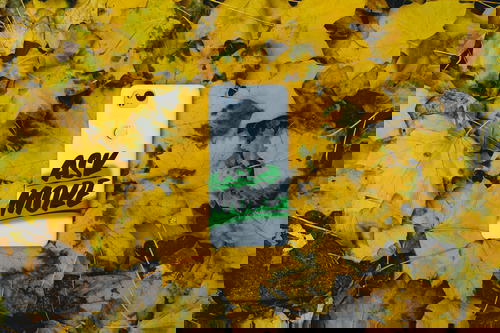 A Google Live Case on yellow leaves