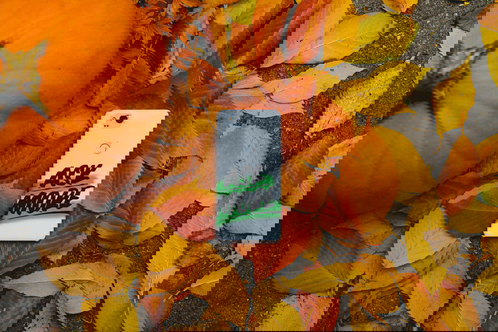 A Google Live Case on orange leaves and a pumpkin
