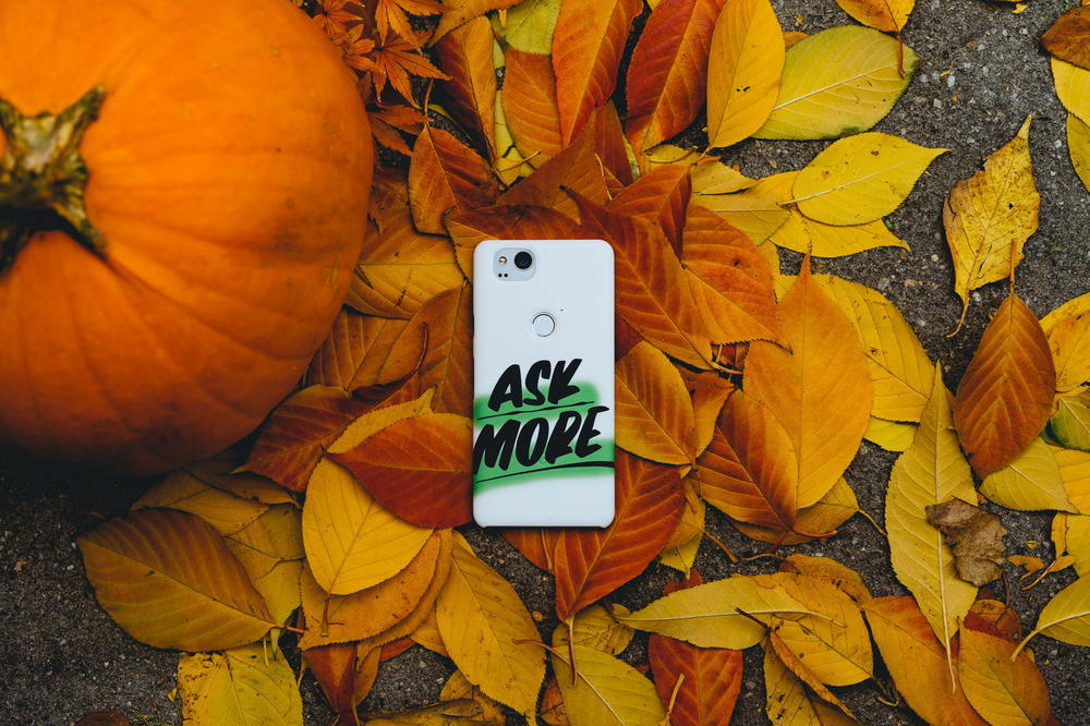 A Google Live Case on orange leaves and a pumpkin