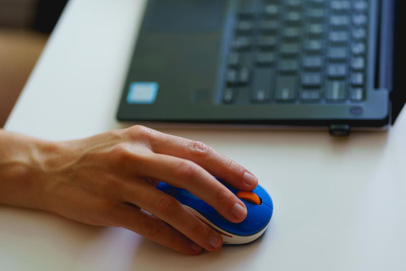 A person is using a mouse in front of a laptop.