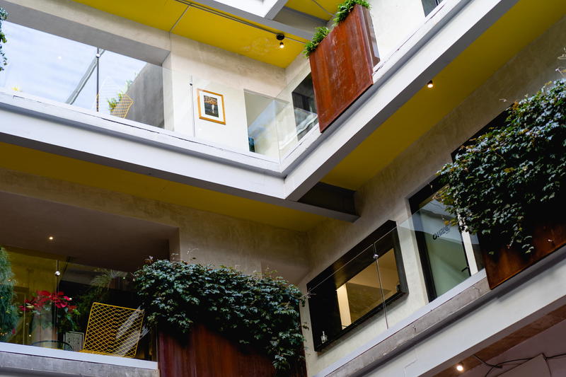 Outdoor office balcony levels with white walls and planters, from a lower perspective
