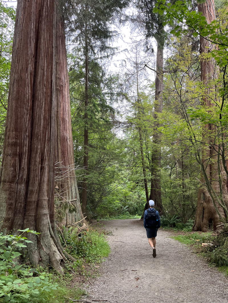 Man with the Aer Fit Pack 3 next to a big tree