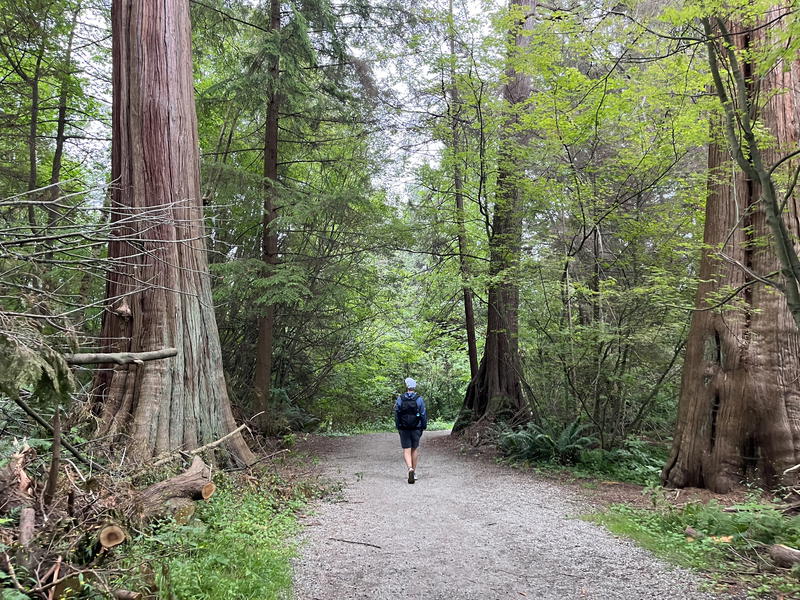 Man walking in the forest next to large trees wearing a Aer Fit Pack 3