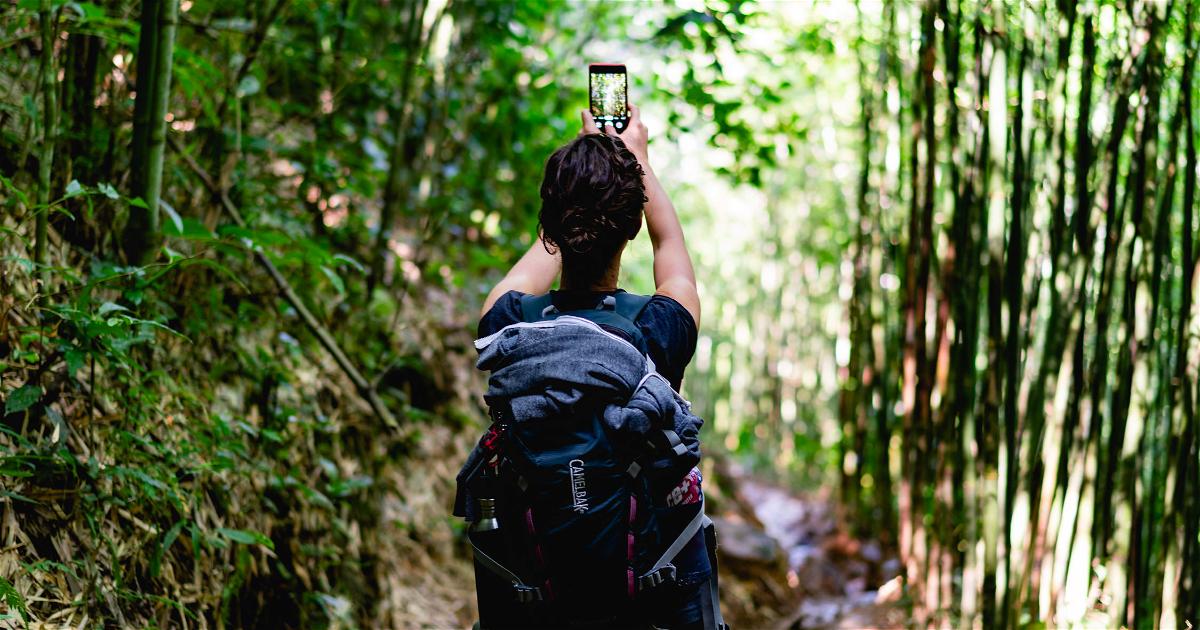 The best travel gadgets for photography of 2024 - In the worlds jungle