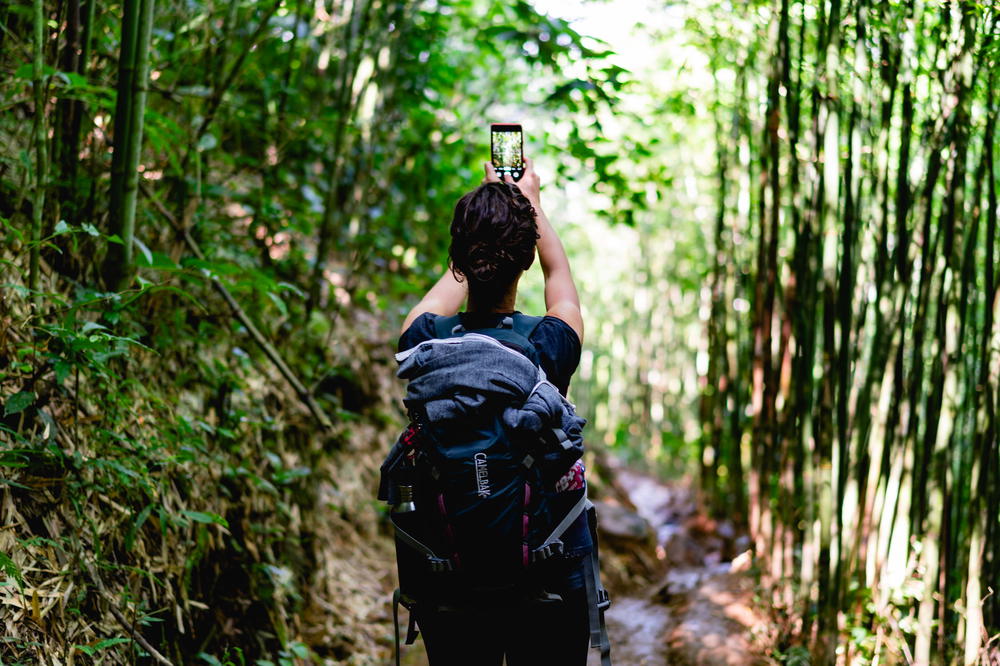 Woman taking photo in bamboo forest in Sapa, Vietnam.