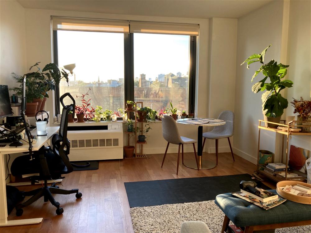 A room with a desk, chair and plants.