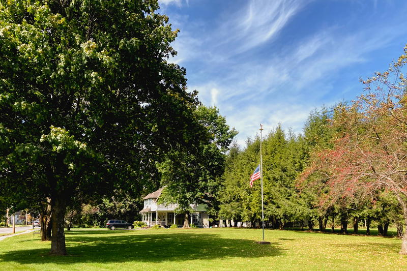 A grassy area with trees and a flag.