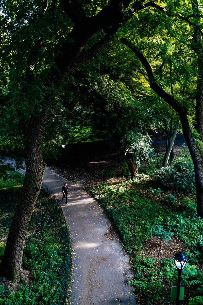 A person riding a bike down a path in a park.