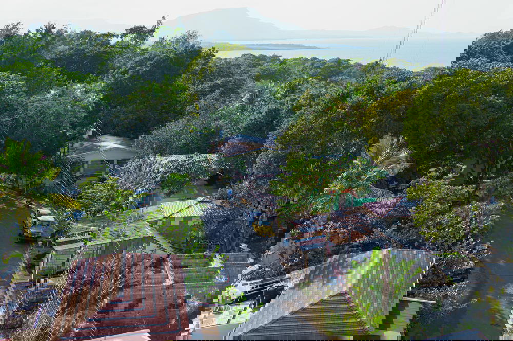 An aerial view of a street with houses and trees.