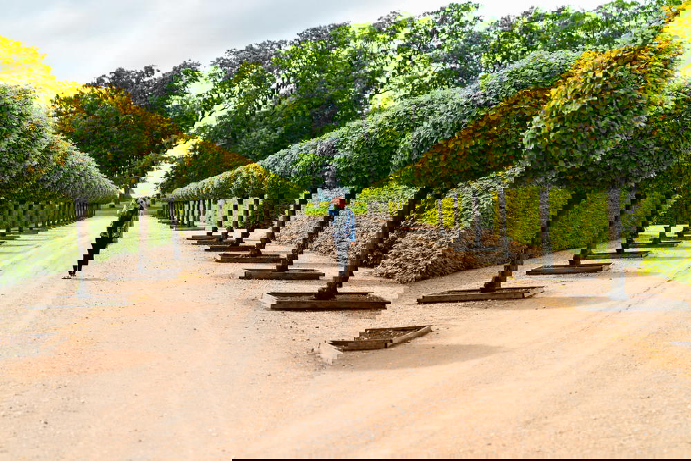 A person walking down a dirt road.