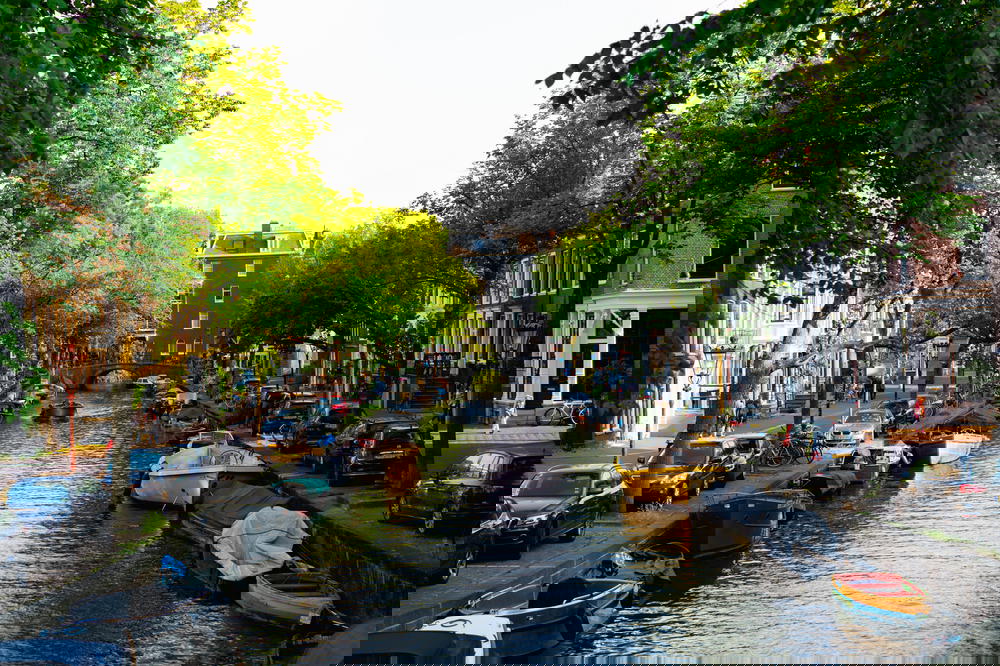 A canal lined with boats and trees in Amsterdam.