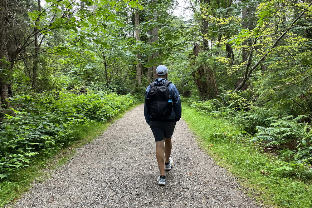 A person walking down a trail in the woods