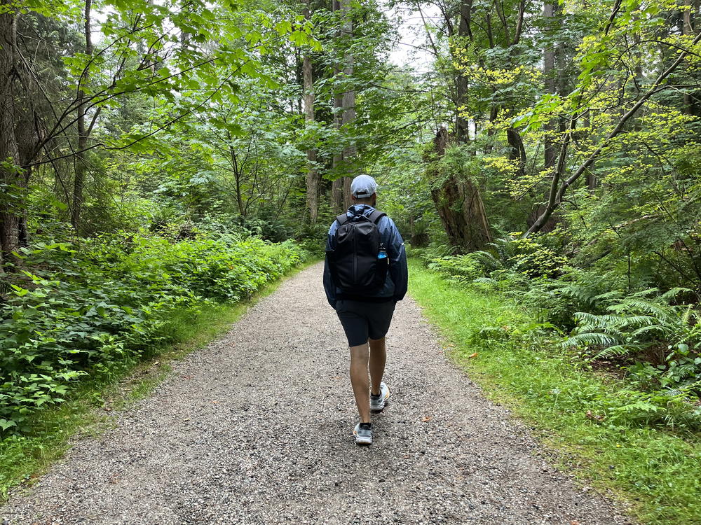 A person walking down a trail in the woods