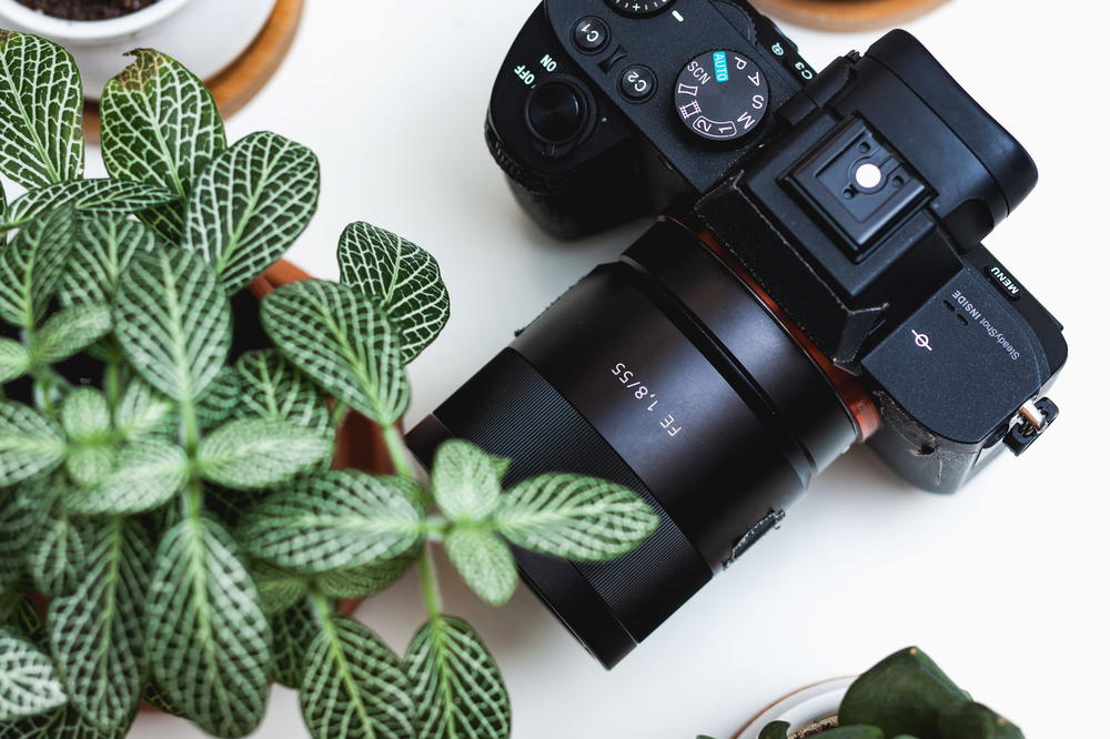 Sony a7 II Not Turning On: Causes and How To Fix It