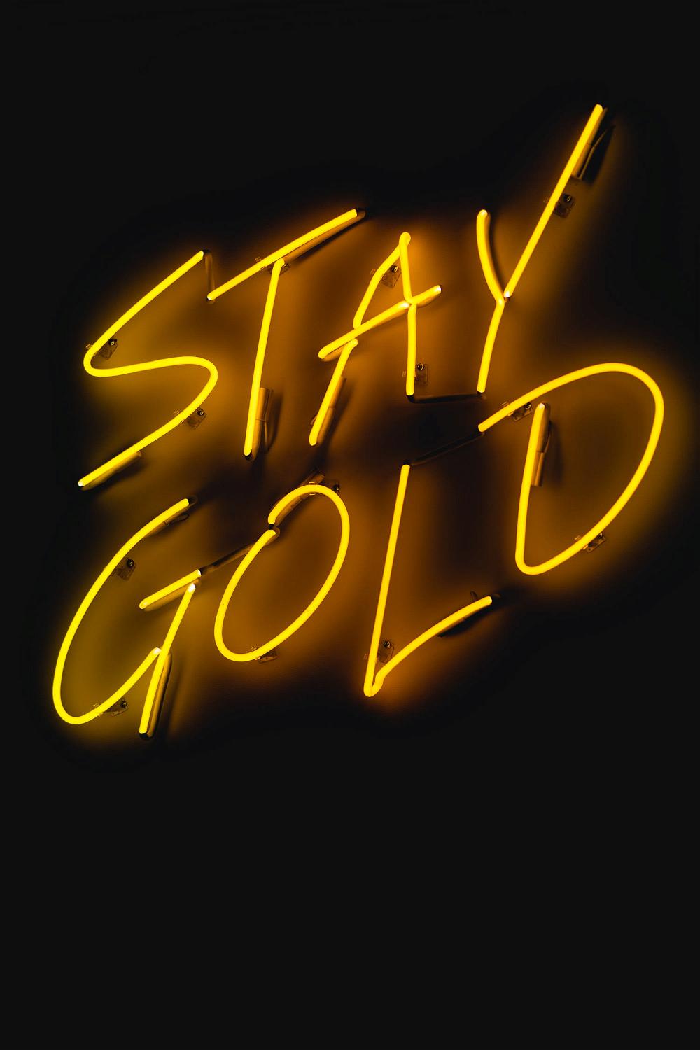 Stay gold neon sign in wework bogota la 93 colombia