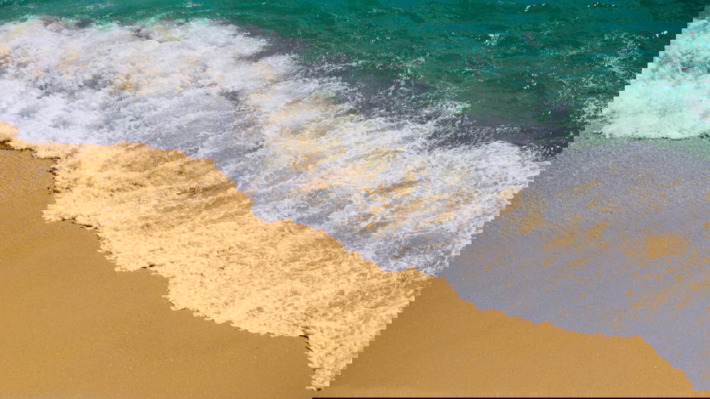 Low wave crashing on perfect golden sand