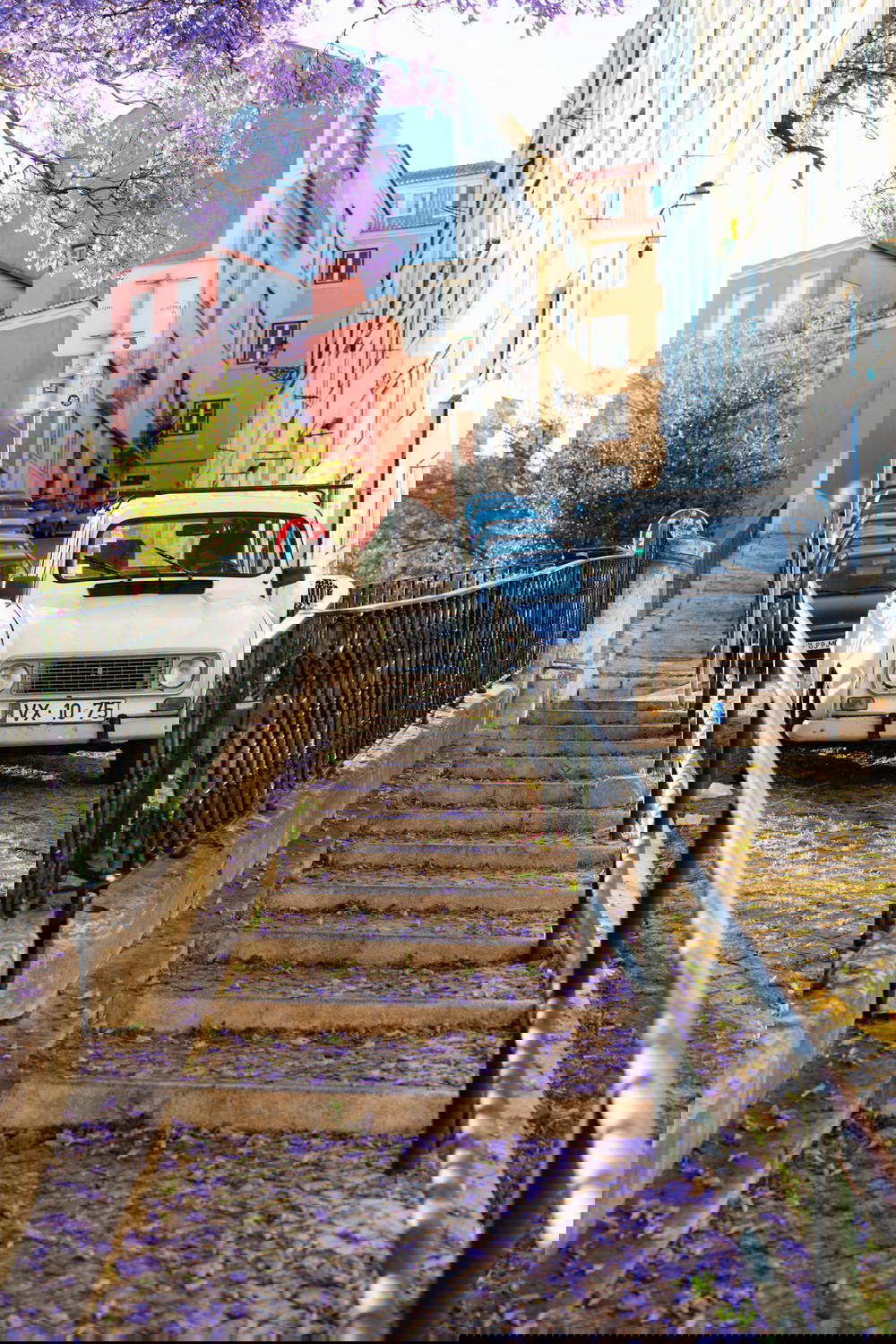 Urban sidewalk stairs next to purple flowering trees and a vintage white car parked on the street