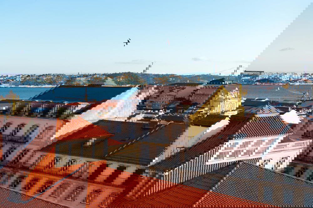 A bird flies over the rooftops of lisbon, portugal.