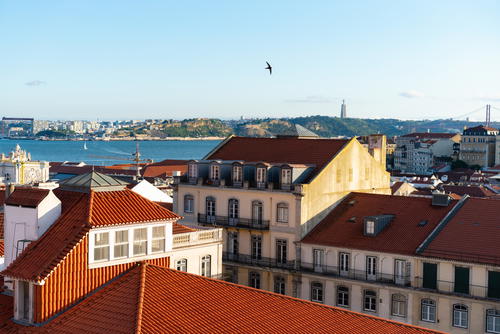 A bird flies over the rooftops of lisbon, portugal.