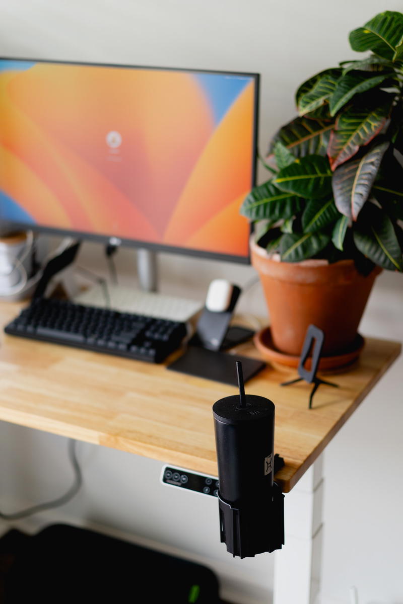 A desk with a plant in a home office.