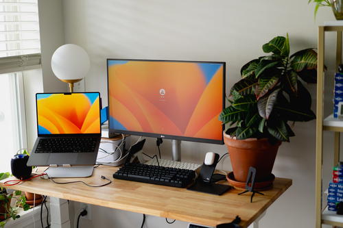 A desk with a plant in a home office.